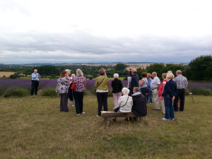 The view that members enjoyed from the top of Hitchin Lavender Farm